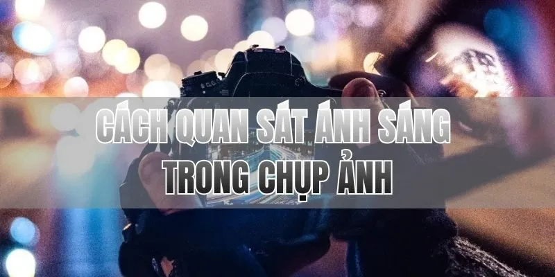 Cách quan sát ánh sáng trong chụp ảnh