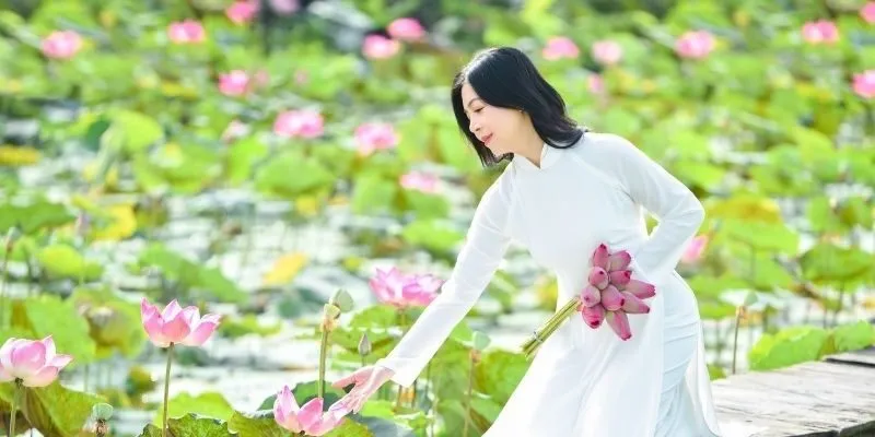 Sức hút chụp ảnh áo dài lưu niệm với Hoa Sen