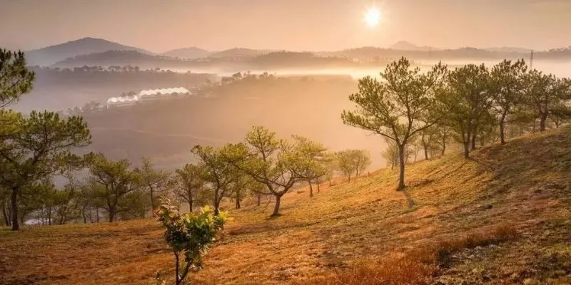 Đồi Thiên Phúc Đức